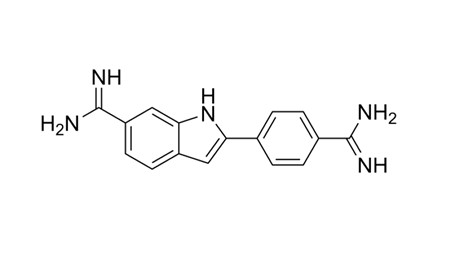 Schematic diagram of the DAPI molecular structure.