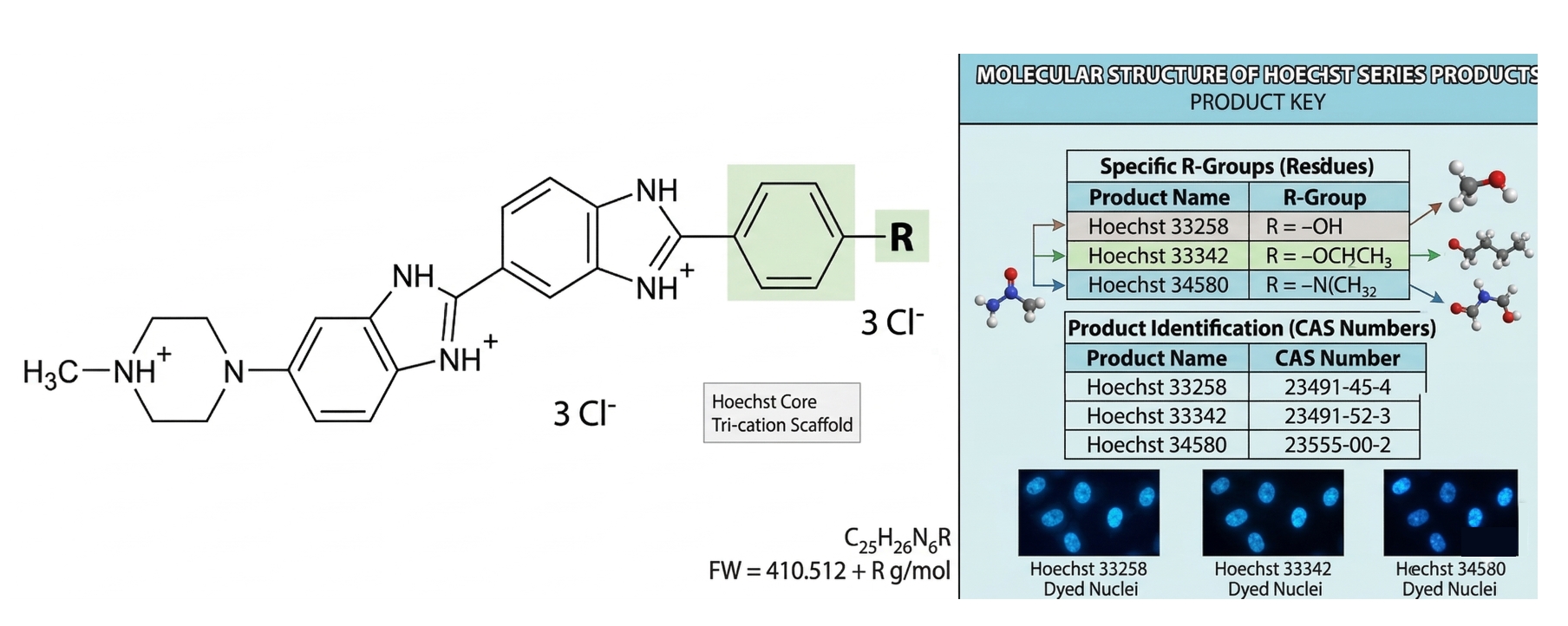 Hoechst nuclear dyes molecular key diagram.