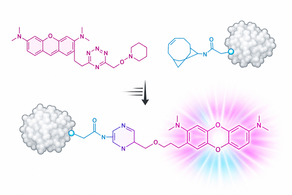 Tetrazine Reagents for Fluorescent Labeling: Fast Bioorthogonal Options for Selective Labeling