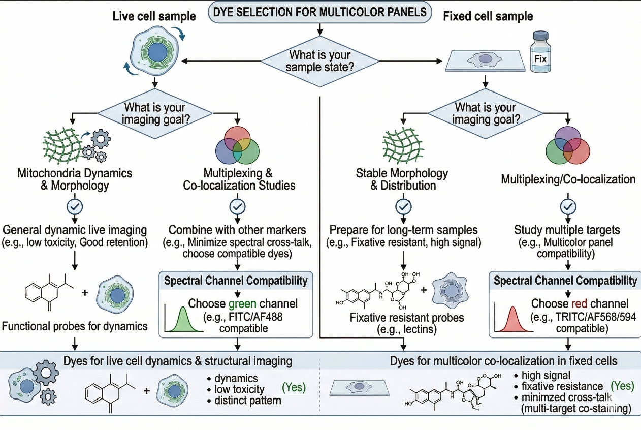 ER dye selection workflow