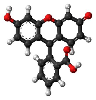 Fluorescein Dyes