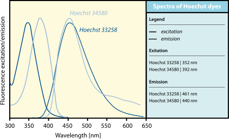 Hoechst Stain Dyes