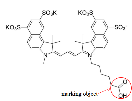 The structural formula of Sulfo-Cyanine3.5 