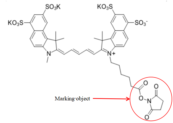 The structural formula of Sulfo-Cyanine5.5