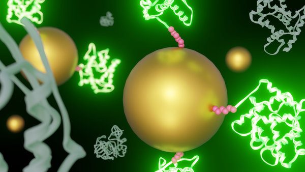 Click Chemistry for Protein Fluorescent Labeling: Bioorthogonal Strategies Explained