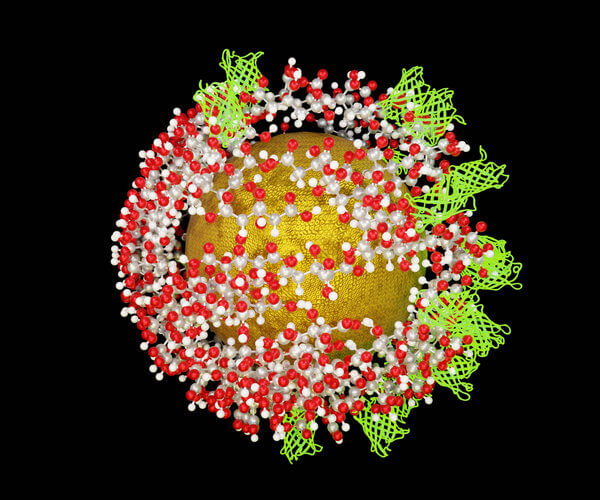Degree of Labeling in Protein Fluorescent Conjugates: How to Measure and Control It