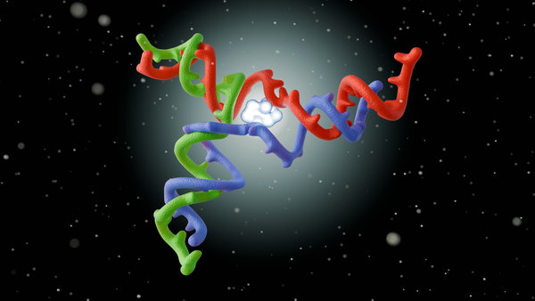 A Practical Guide to Protein Fluorescent Labeling in Diagnostic Assay Development