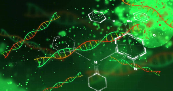 Protein Fluorescent Labeling: Methods, Chemistries, Dye Selection, and Workflow Design